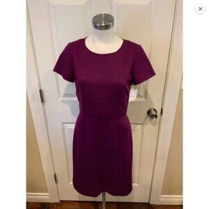 Tahari Knee-Length Dress in Bold Orchid